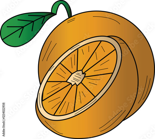 the illustration of two sets of orange fruit that have already been cut and not.