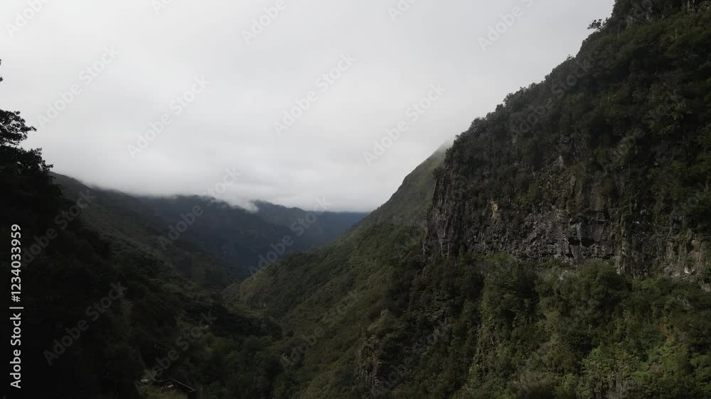 A forward-moving drone shot over a lush valley surrounded by rugged mountains in Madeira Island, under a cloudy sky. Captures the serene and dramatic landscape. A forward-moving drone shot over a lush valley surrounded by rugged mountains in Madeira Island, under a cloudy sky. Captures the serene and dramatic landscape.