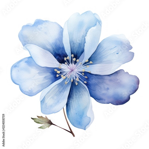 Blossom flower petal plant.