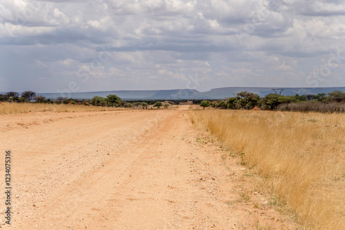 broad dirt road in green desert countryside, near Otjiwarongo,  Namibia