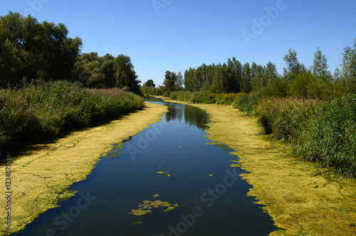 Biesbosch (Niederlande) photo