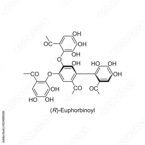 (R)-Euphorbinoyl skeletal structure.Tannin compound schematic illustration. Simple diagram, chemical structure.