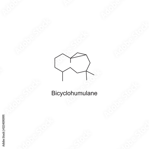 Bicyclohumulane skeletal structure.Sesquiterpene compound schematic illustration. Simple diagram, chemical structure.