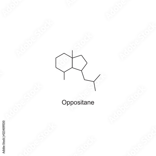 Oppositane skeletal structure.Sesquiterpene compound schematic illustration. Simple diagram, chemical structure.