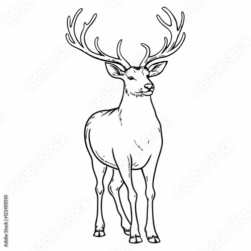 Line Art of Deer with Antlers in Nature, Detailed Animal Drawing