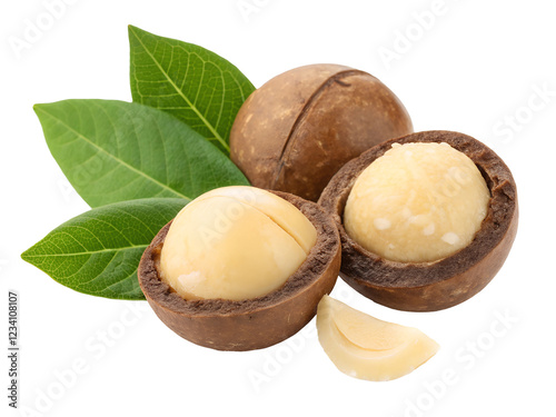 macadamia nut and leaf isolated on white background PNG image