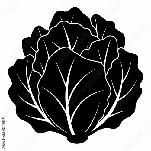 Minimalist Lettuce Silhouette Vector Art
