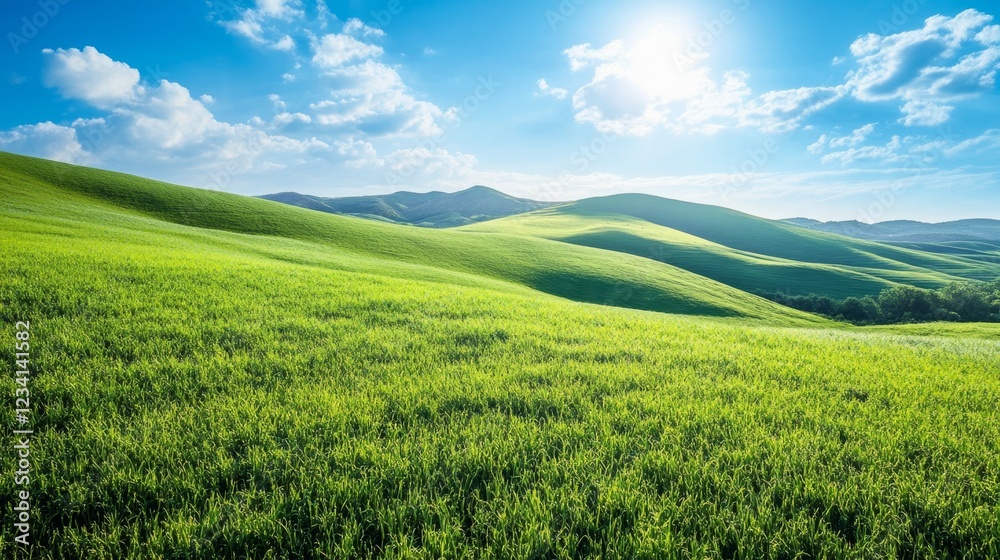 Scenic Wide View of Rolling Hills Covered in Fresh Green Grass Scenic Wide View of Rolling Hills Covered in Fresh Green Grass