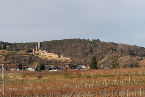 Wachtenburg bei Wachenheim an der Weinstraße photo