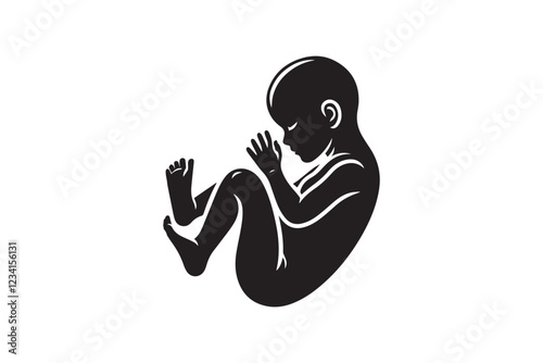 Fetal vector silhouette isolated in white background