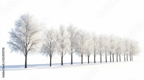 Wallpaper Mural Frosty trees line winter road, white background, holiday card design Torontodigital.ca