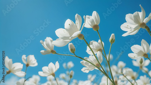 A detailed and minimalist close up of white fabric showcasing soft folds and realistic texture patterns
