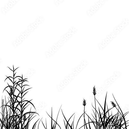 meadow silhouette with reeds