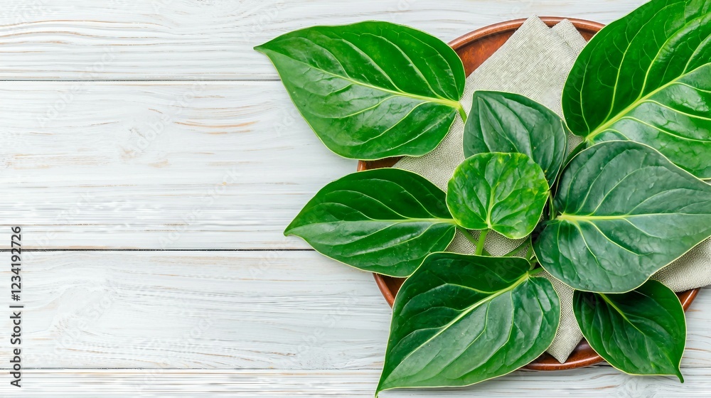 Fresh Green Leaves Arranged on a Wooden Plate with Natural Background Fresh Green Leaves Arranged on a Wooden Plate with Natural Background