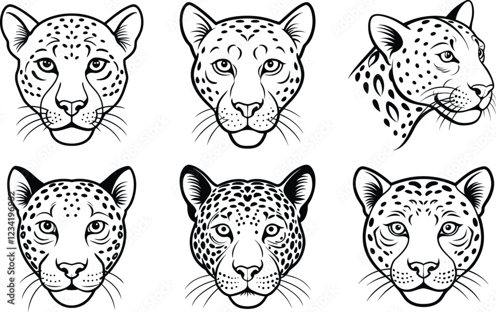 Obraz premium Leopard (Panthera pardus) animal design, labeled line art vector art illustration.