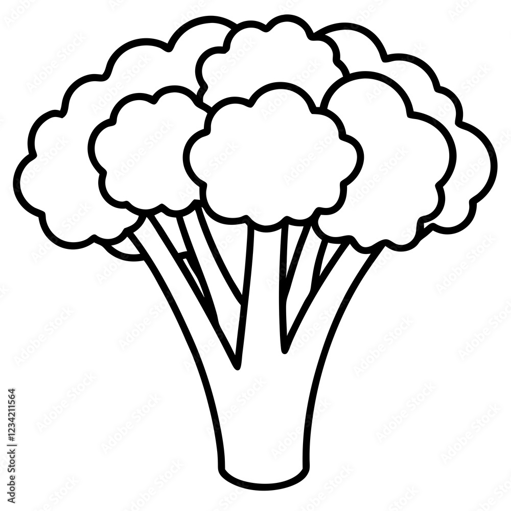Broccolini Outline Sleek Vector Art Broccolini Outline Sleek Vector Art