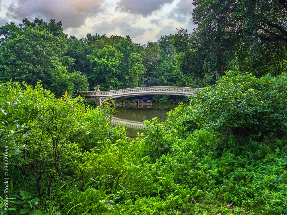 Bow bridge in summer, early morning,summer