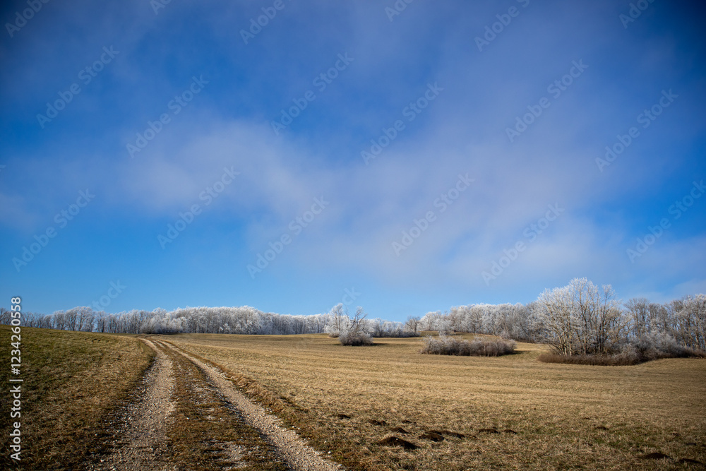 Fototapeta premium Frost trifft Himmel