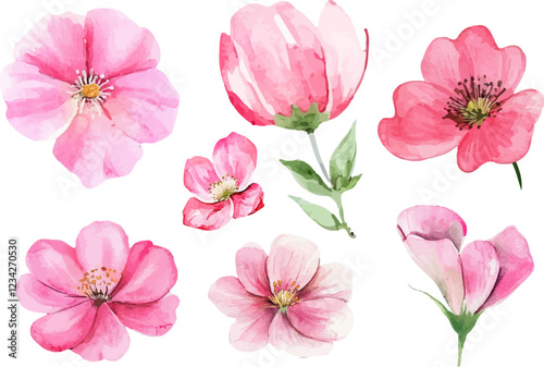 pink and white flowers