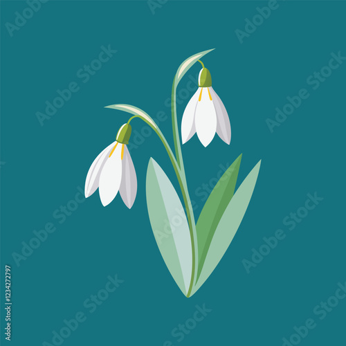 snowdrop flowers vector illustration