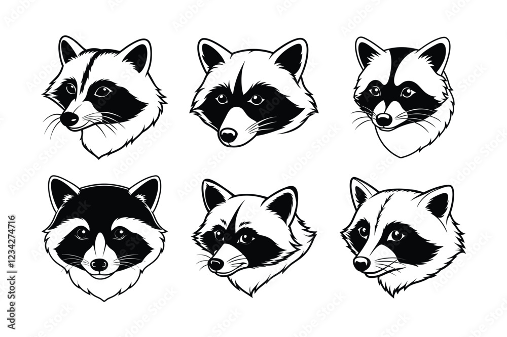 Fototapeta premium Raccoon (Procyon lotor) animal design, labeled line art vector art illustration.