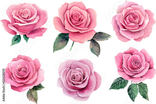 pink roses on white