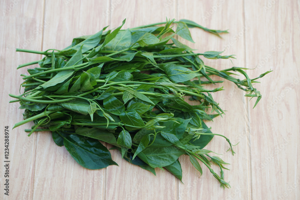 Fresh green organic herbal Gurmar vegetable or Gymnema inodorum. Concept, Thai herbal vegetable, eaten as vegetables or cooking for helping lower blood sugar levels. Fresh green organic herbal Gurmar vegetable or Gymnema inodorum. Concept, Thai herbal vegetable, eaten as vegetables or cooking for helping lower blood sugar levels.