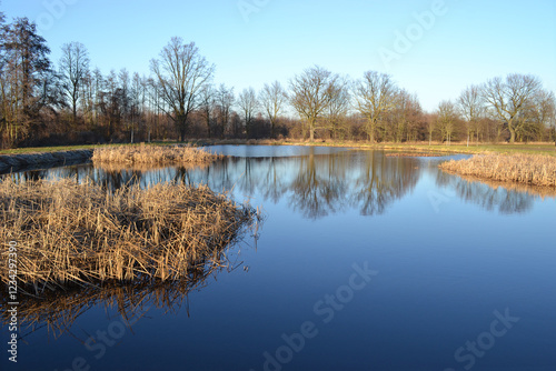 Ponds in Milicz