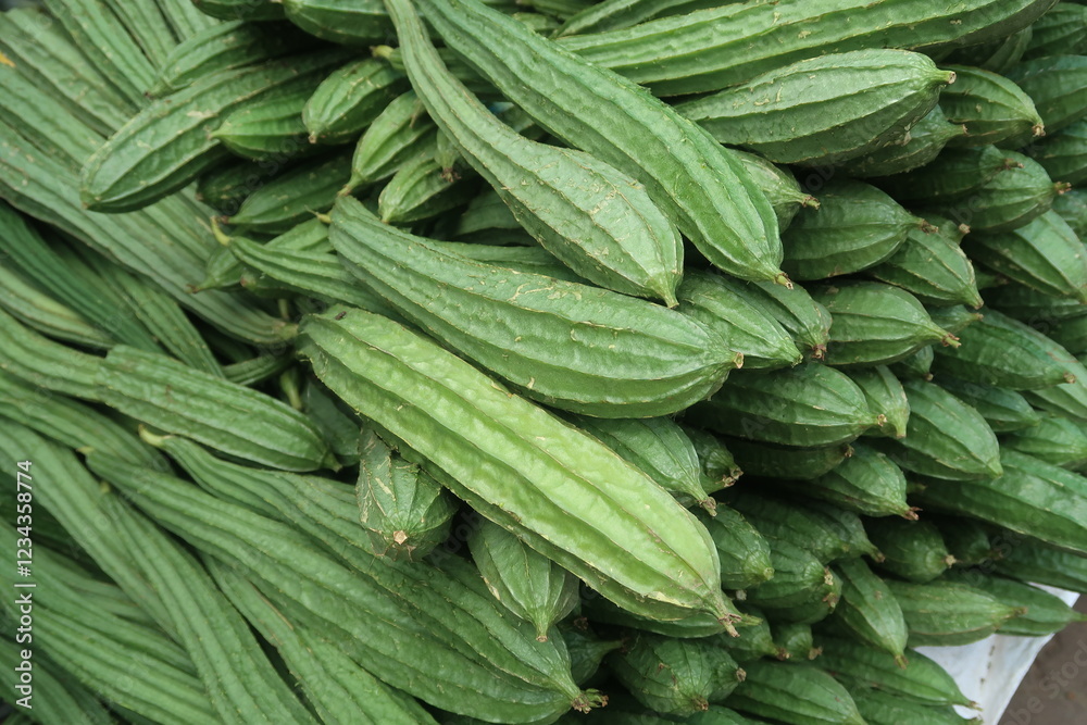 ridge gourd vegetable on the background ridge gourd vegetable on the background
