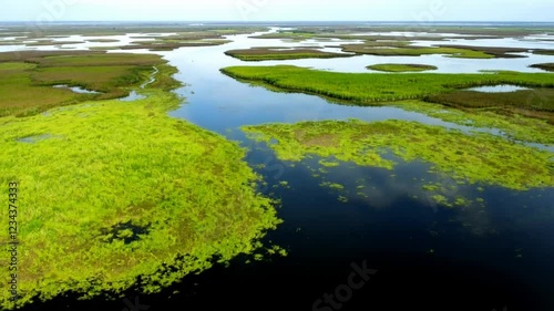 Wallpaper Mural Aerial view swamp river, lush green vegetation, cloudy sky, travel brochure Torontodigital.ca