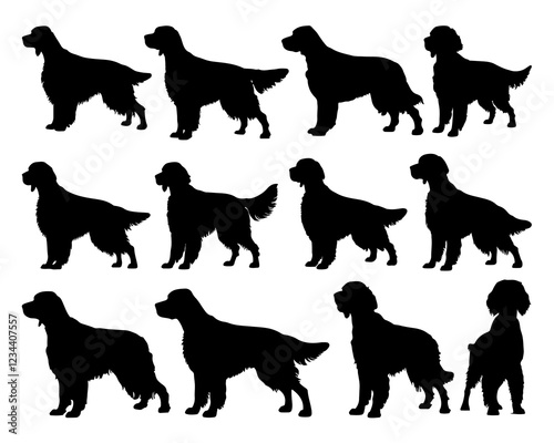 ENGLISH SETTER SILHOUETTE ON WHITE BACKGROUND