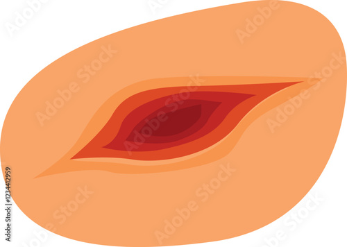 Peach pit showing seed inside peach fruit representing stone fruit, isolated on white background