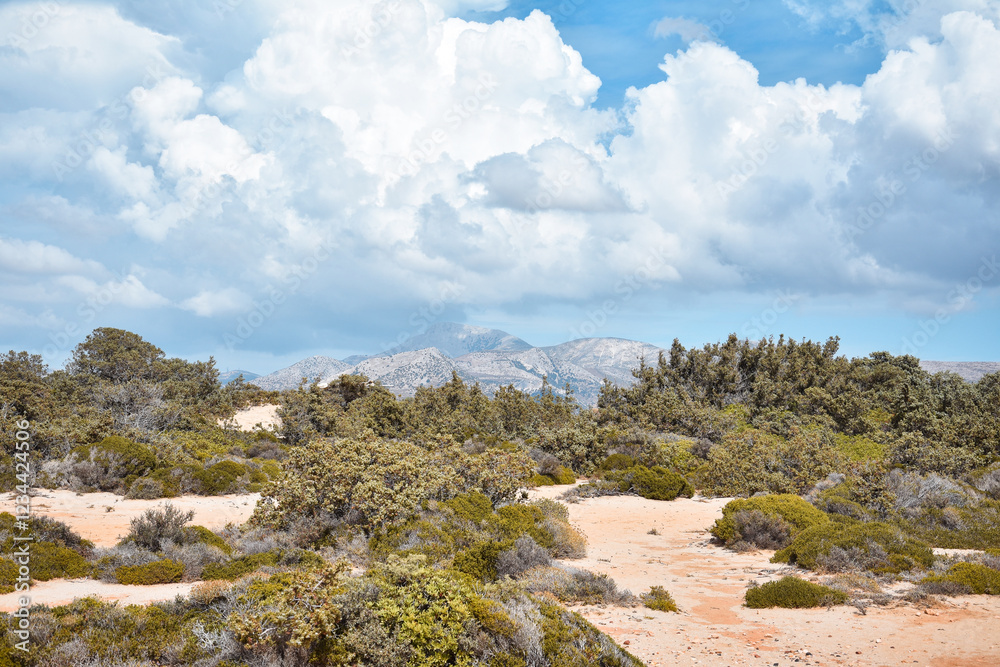 Naklejka premium landscape with blue sky, Naxos