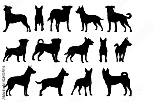 LANCASHIRE HEELER DOG SILHOUETTE ON WHITE BACKGROUND