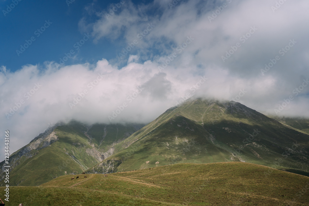 Obraz premium Scenic mountain valley along the Georgian Military Green hills. Summer landscape in the Caucasus Mountains. Blue sky with white clouds