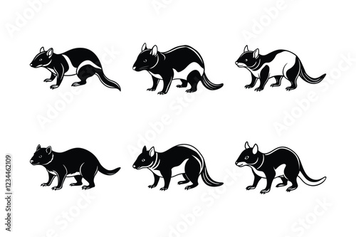 Tasmanian Devil (Sarcophilus harrisii) animal design, labeled line art vector art illustration. photo