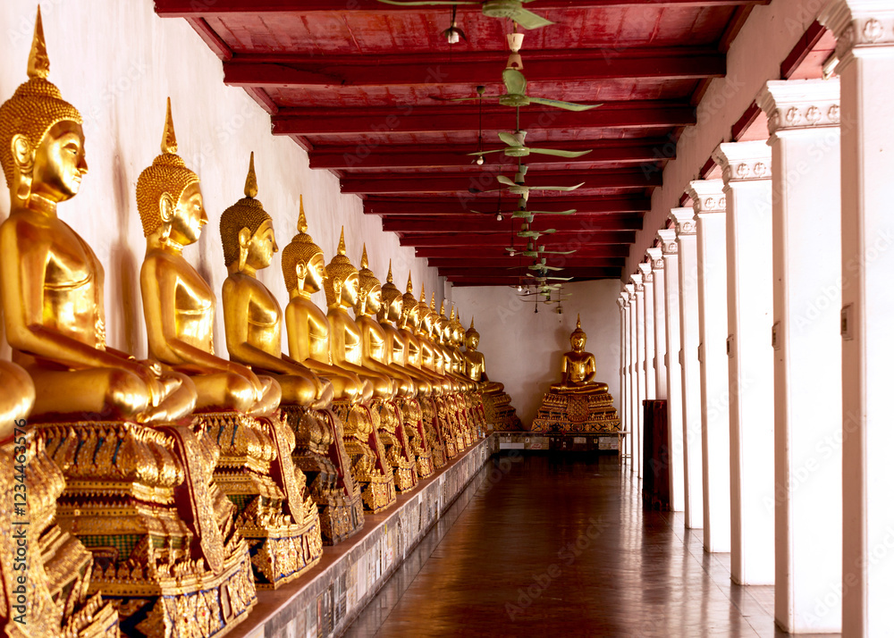 Fototapeta premium galería de budas dorados