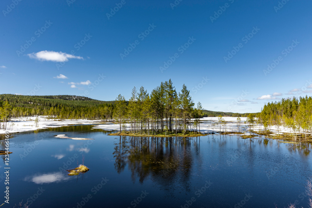 Obraz premium Auftauaender See in Schweden