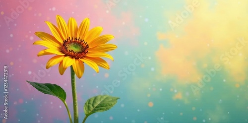 Sunnyflower solitary on pastel rainbow background, sunflowers, nature, orange photo