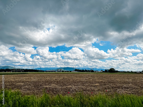 Field of grass with a cloudy sky in the background
