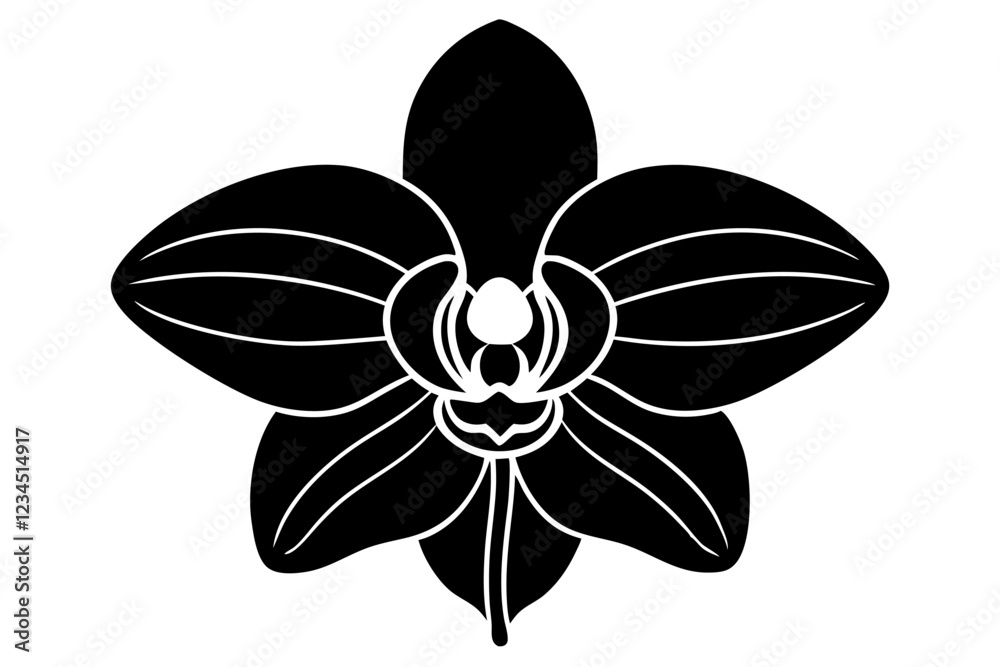 black and white illustration of an orchid flower black and white illustration of an orchid flower
