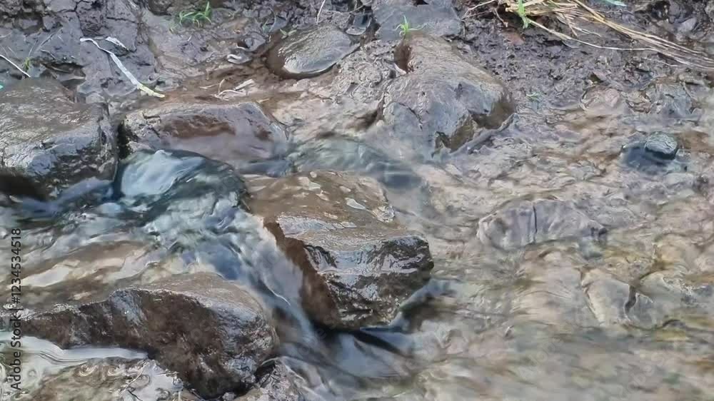 A stream water from the mountain flowing smooth in creeks with feel of relaxation A stream water from the mountain flowing smooth in creeks with feel of relaxation