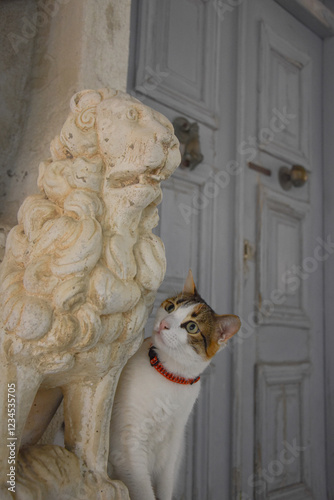 cat and statue Paros