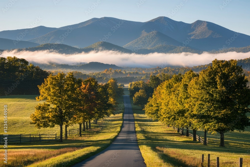Fototapeta premium Autumn Road Leading to Misty Mountains
