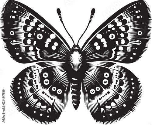 Butterfly art and illustration vector black on white background.