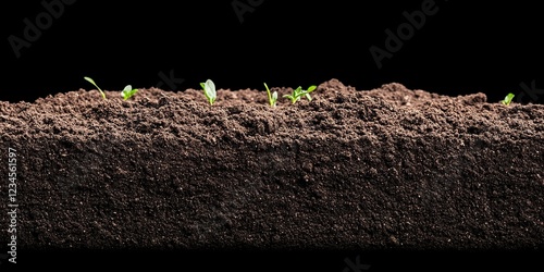 Seedlings Emerging: Tiny gr...