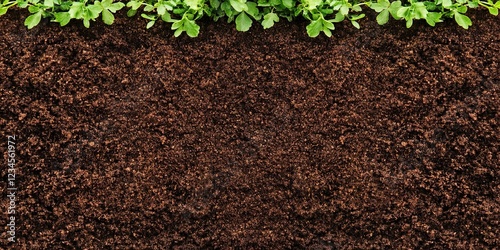 Fresh Growth Emerging: A cl...
