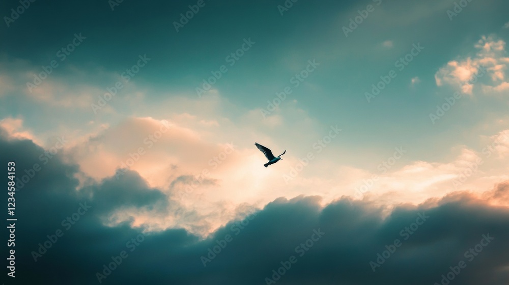 Fototapeta premium A lone bird in flight turns an empty sky into a story of freedom. 