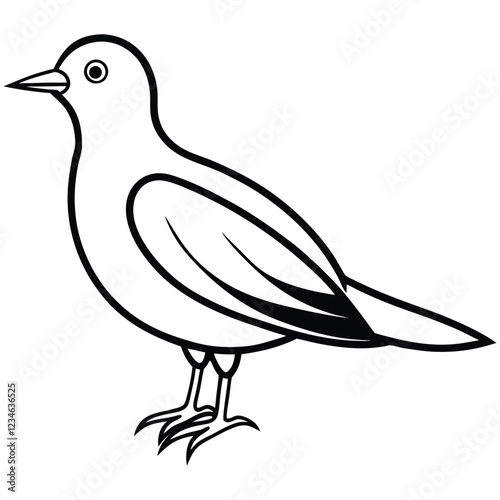 vector illustrator of a dove