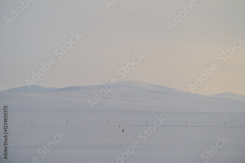 The snow - covered Hulunbuir Prairie and several cows photo